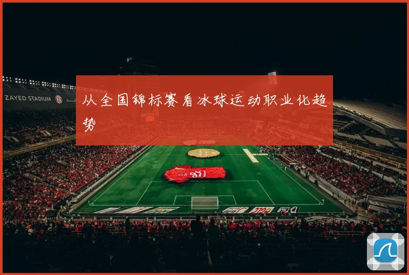 从全国锦标赛看冰球运动职业化趋势
