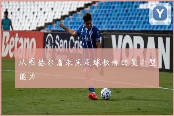 从图赫尔看未来足球教练的复合型能力