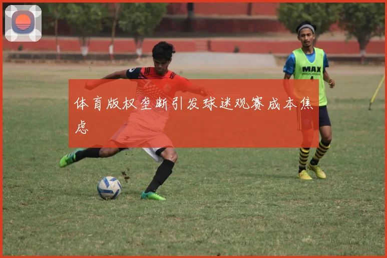 体育版权垄断引发球迷观赛成本焦虑