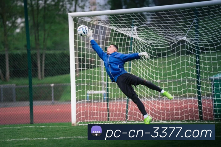 3377APP 体育赛事宣传图